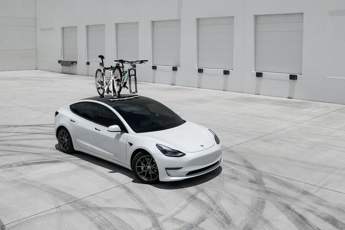 Seasucker Bike Roof Rack For Car SeaSucker Monkey Bars Vacuum