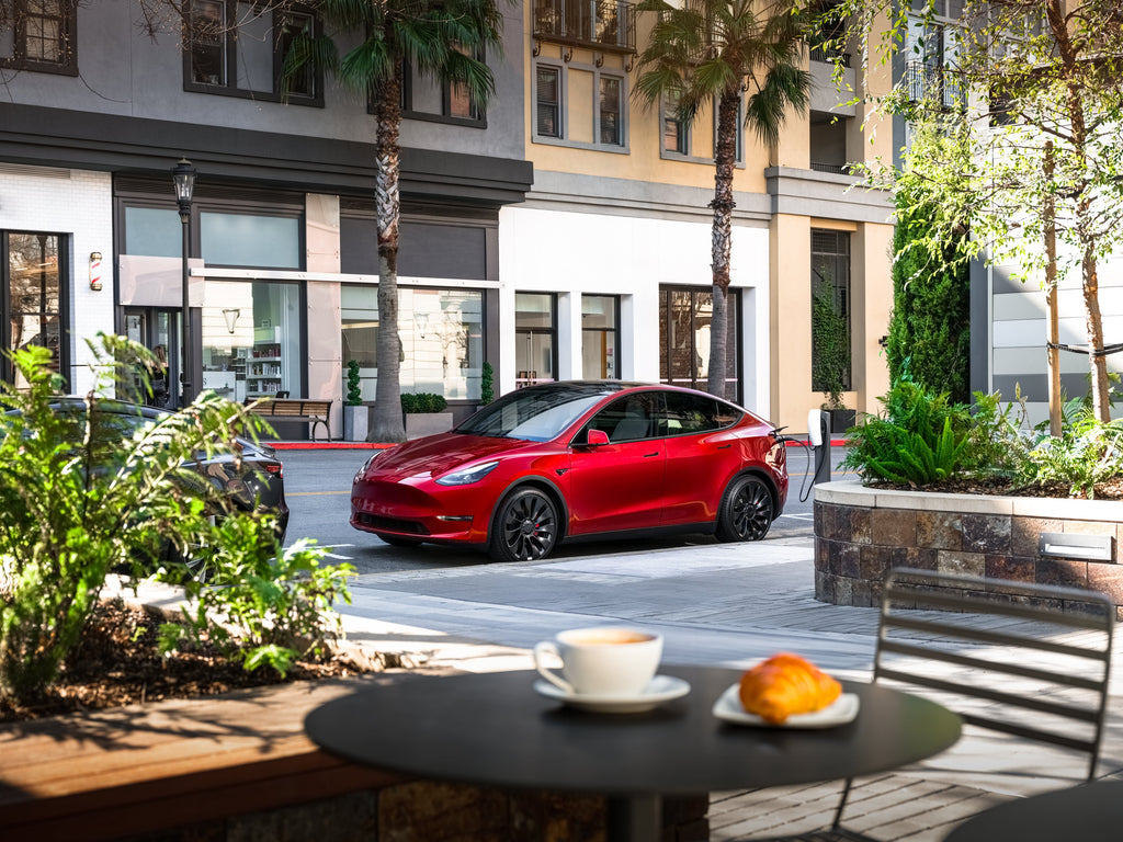 Tesla Model 3 and Model Y Lead U.S. EV Sales in 2024