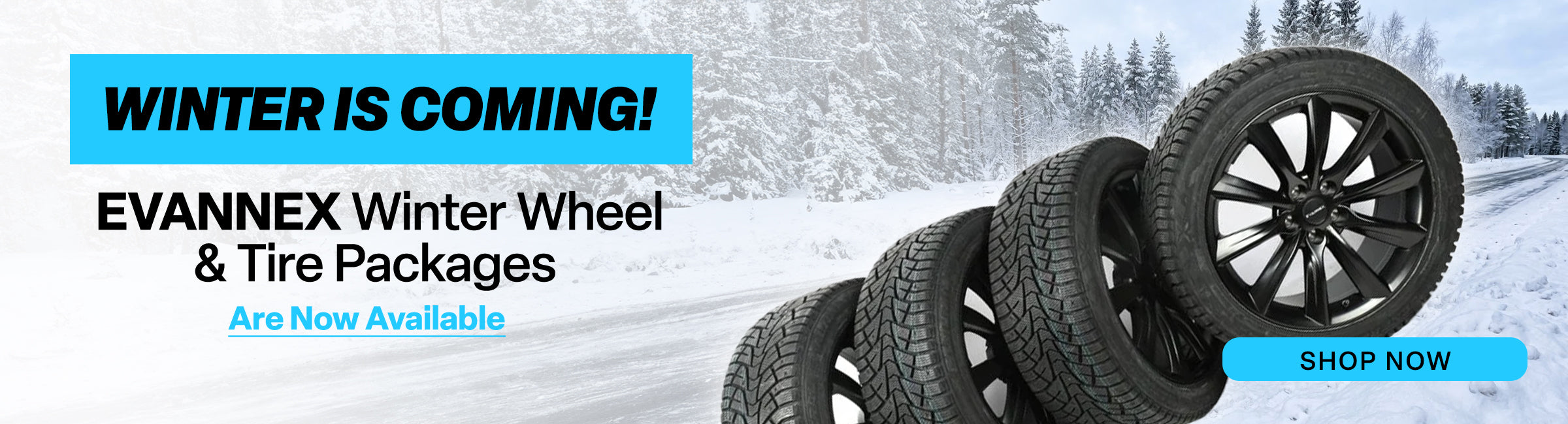Winter Wheel & Tire Packages