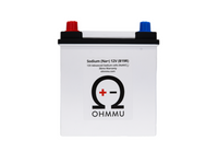 12V Sodium Battery for Tesla Model X