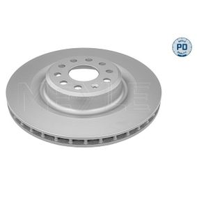Meyle Tesla Meyle Tesla Model S 2012+ and Model X 2016+ Rear Brake Disc – EVANNEX ...