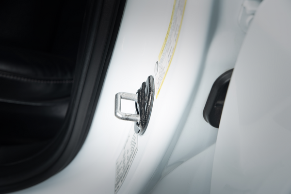 EVANNEX Carbon Fiber Door Lock Covers for Tesla Model 3 and Model Y